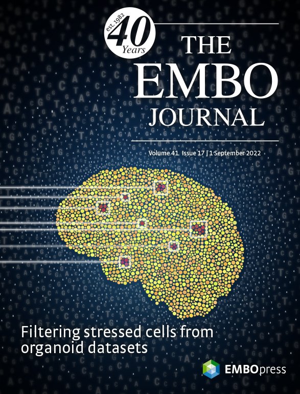 The EMBO Journal tweet media