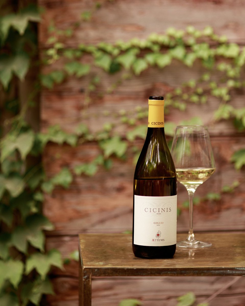 Attems_wines's tweet photo. The symbol of Collio is an enchanting balance of strong acidity and enveloping body. A savoury sensation persists, hard to forget. #Cicinis 
#Attems #AttemsWines #Friuli #wine #winelovers #instawine #winetime #ilbuonodelfriuli https://t.co/SuP647zEar