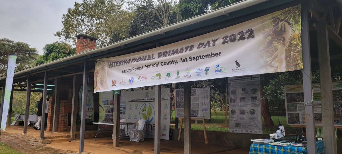 charleskivasu's tweet photo. International Primate Day 2022 Celebrations in Karura Forest. Just after a primate walk activity @primateresearch, @NemaKenya, @Nature_Kenya, @WRTIKenya, @kwskenya, @karurafriends #supremecourtofkenya #BonifaceMwangi #Form34A https://t.co/JNKWBQIRVe