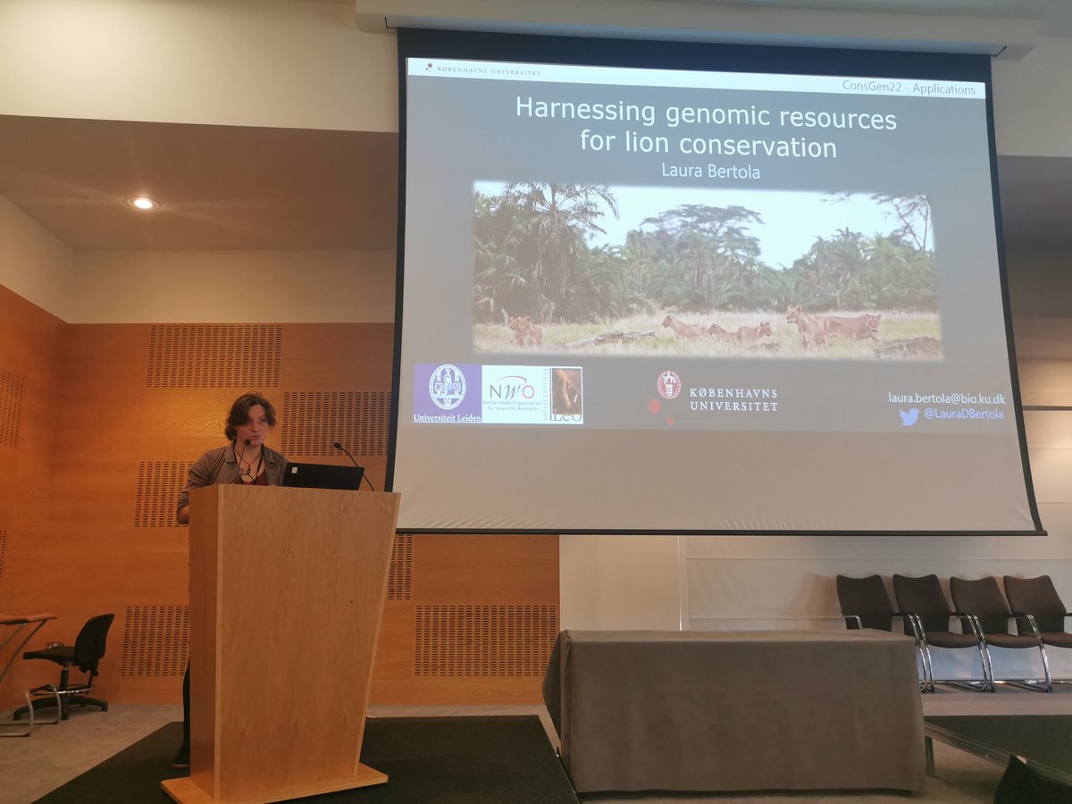 European Conservation Genetics Meeting (@consgen22) on Twitter photo Following on we have the incredible Laura Bertola from <a href="/UCPH_Research/">University of Copenhagen Research</a> discussing harnessing genomic resources for lion conservation 🐾
She will look at:
🌍 Prioritising populations
📋 Informing decisions for translocations
🧬 Genetic diversity in captive breeding Following on we have the incredible Laura Bertola from <a href="/UCPH_Research/">University of Copenhagen Research</a> discussing harnessing genomic resources for lion conservation 🐾
She will look at:
🌍 Prioritising populations
📋 Informing decisions for translocations
🧬 Genetic diversity in captive breeding