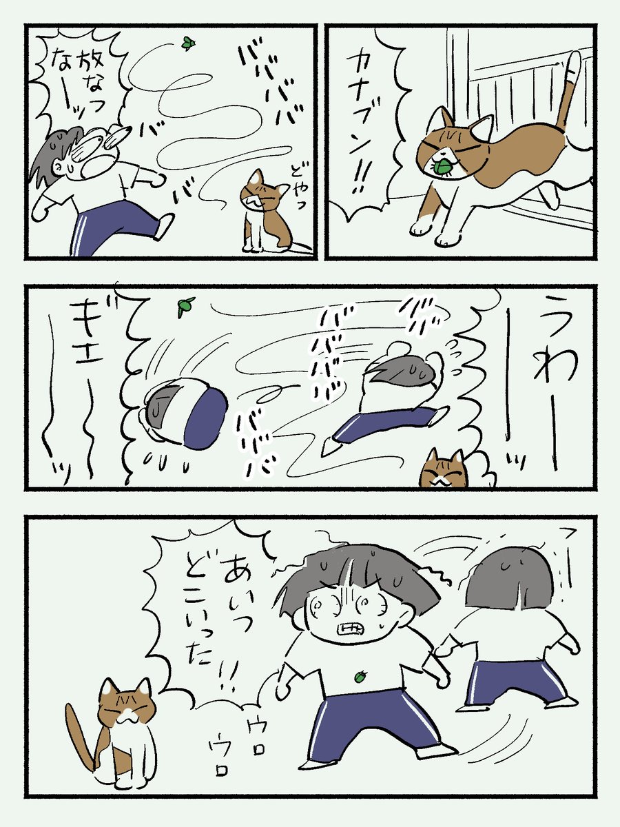 日記 