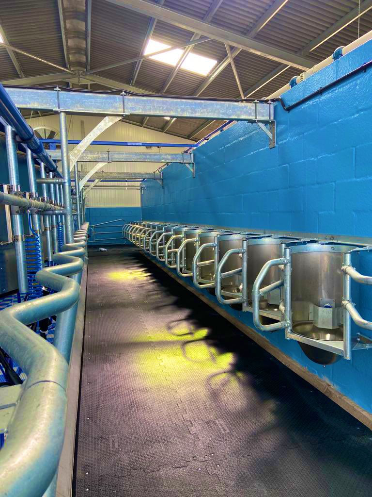 JoshuaKeeble94's tweet photo. A lovely DeLaval 32x32 HB50 was completed and milked in last night by the team🐮🥛

🔵MPC780 HB50
🔵Stainless steel - Lower cabinets
🔵Evanza clusters
🔵Automatic plant washer
🔵Sort gate 
🔵DXCEM Bulk tank
🔵Glycol chiller 

@DeLaval_UK_IRE 
@dairyscopeltd https://t.co/i3monC5rI0