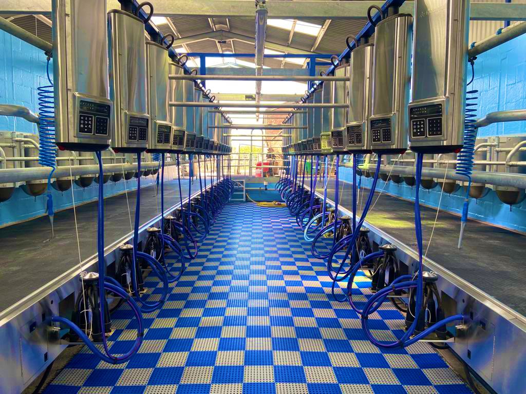 JoshuaKeeble94's tweet photo. A lovely DeLaval 32x32 HB50 was completed and milked in last night by the team🐮🥛

🔵MPC780 HB50
🔵Stainless steel - Lower cabinets
🔵Evanza clusters
🔵Automatic plant washer
🔵Sort gate 
🔵DXCEM Bulk tank
🔵Glycol chiller 

@DeLaval_UK_IRE 
@dairyscopeltd https://t.co/i3monC5rI0