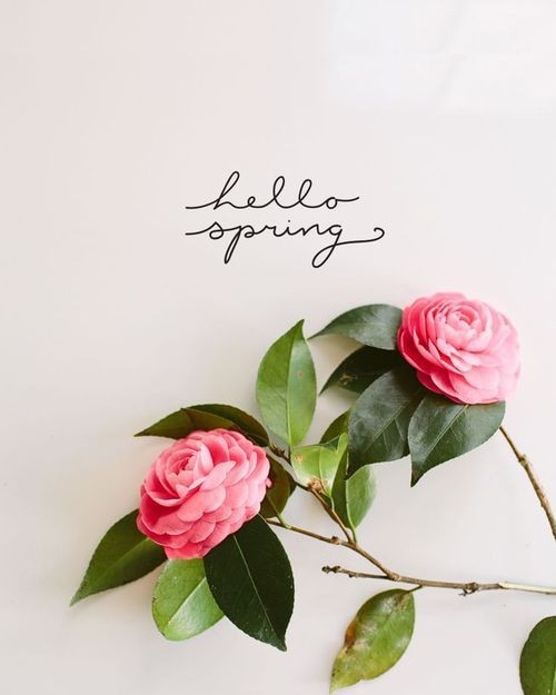 Cappulicious_pe's tweet photo. IT'S TIME 🌺✨😍🌸🌼 https://t.co/ehsbXRlZ1Y