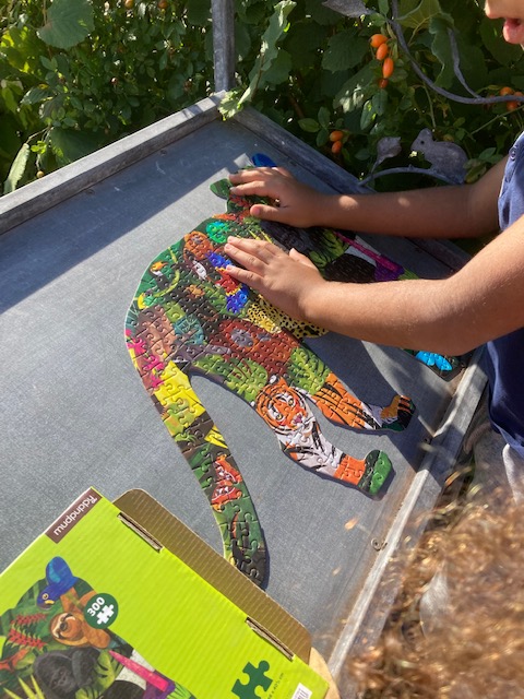 MaindeeLibrary's tweet image. Maindee Mondays, over and out for now!🌳

Across the summer holidays, you’ve been digging soils, sewing vegetables, searching for vegetables, doing jigsaws, making potato animals, sorting seeds, and having henna tattoos.

We #LoveMaindee, how about you?💭