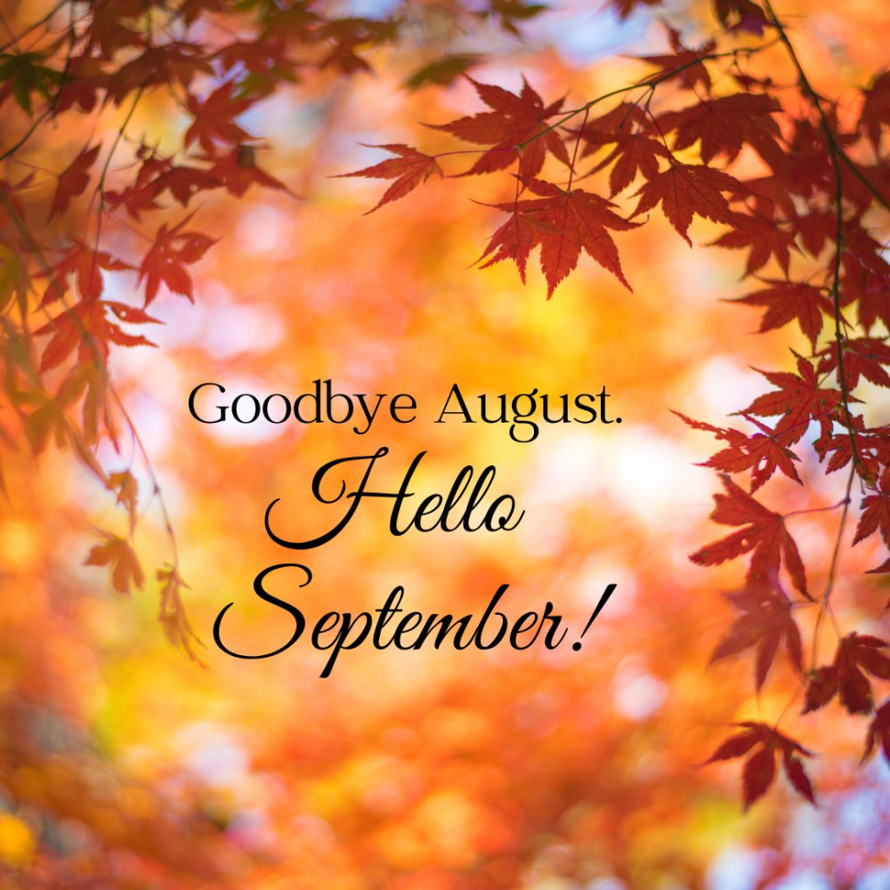 Can you believe it? September is here already! Now is the time that the evenings will draw in and the low sun might cause problems when you drive. We have specialist lenses designed specifically to make driving a pleasure whatever the conditions. #Driving #September #Optician