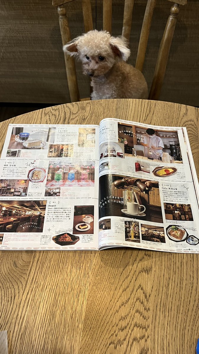 tokyocafech's tweet photo. ホットペッパービューティー9月号「東京レトロカフェ」特集に参加させて頂きました★
6ページに渡ってレトロカフェが紹介されているのでカフェ好きさんは是非チェックしてみて下さい👧🌼 https://t.co/8Q5udRBUg2