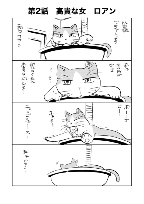 大体木曜の18時ごろ更新の猫漫画!
私はロアン第2話 「高貴な女ロアン」
#猫漫画 #職場の猫 #私はロアン #飽きたらやめます 
