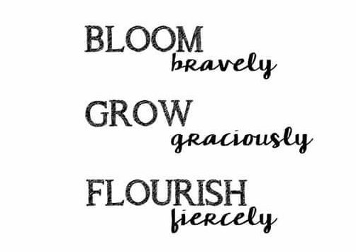 abigailraghoo's tweet image. #Springday2022
#happyspring 
#springforth
#2corinthians5v17