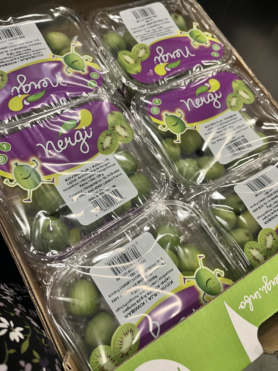 EmmaLammela's tweet photo. Nyt on jännä uutuus, joka saapuu K-kauppoihin ensi viikolla! Nergi® kiivimarja on alun perin Itä-Aasiasta kotoisin oleva sileäpintainen, vihreäkuorinen, kiiviä muistuttava pieni hedelmä, syöntikypsä ja sellaisenaan syötävä. Maku on makea ja vähemmän kirpeä kuin tavalliset kiivit. https://t.co/0HKC3Ek0xy