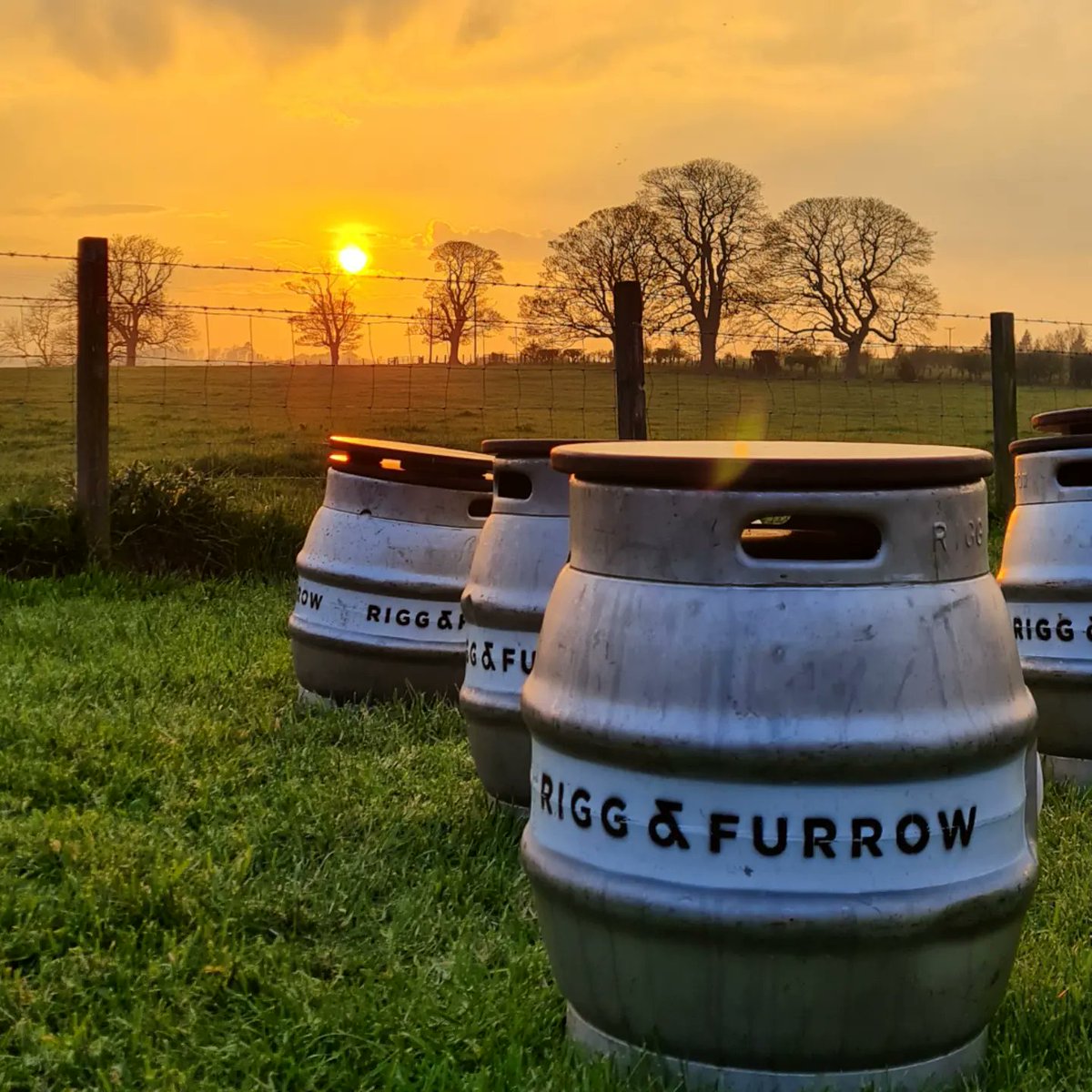 It's the last of our weekly summer tap days on the farm this Saturday, we've got @poshstreetfood with us, a tasty fresh batch of Landbier pouring alongside our Paddock Pils for all you lager fans. Cask pale and bitter, keg IPA and some mixed ferm goodness too. Open 1-7pm.
🍺🌾🚜