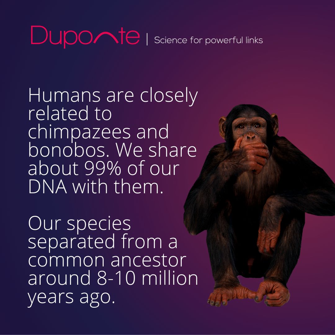 That's why monkeys are so smart! 😲 🐵 duponteadn.com 

#dna #health #startups #innovation #spain #medicine #pharmacogenomics #genomics #pharmaceutics #medicine #research #science