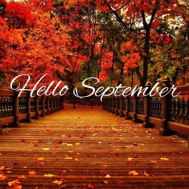 Goodbye August… 🍁🍂☕️🔥