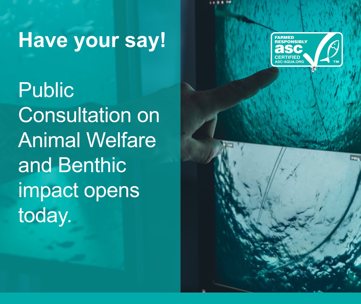 ASC has launched a public consultation to seek stakeholder feedback on Fish Health and Welfare and Benthic impact. Learn more and how to participate: bit.ly/3RbVeOj