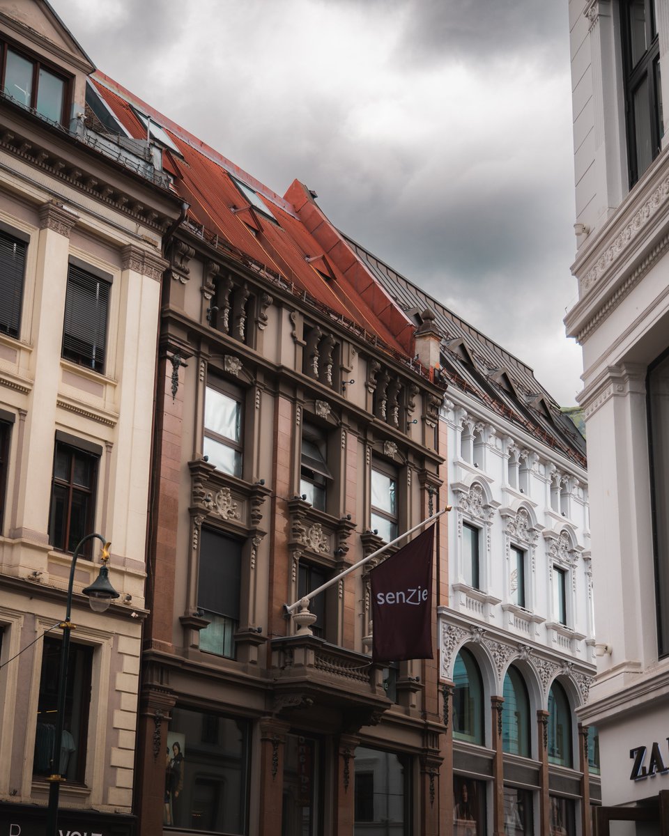 A little throwback to when I visited Oslo earlier this summer. I just fell in love with the architecture and the tones of these houses 😍🤎