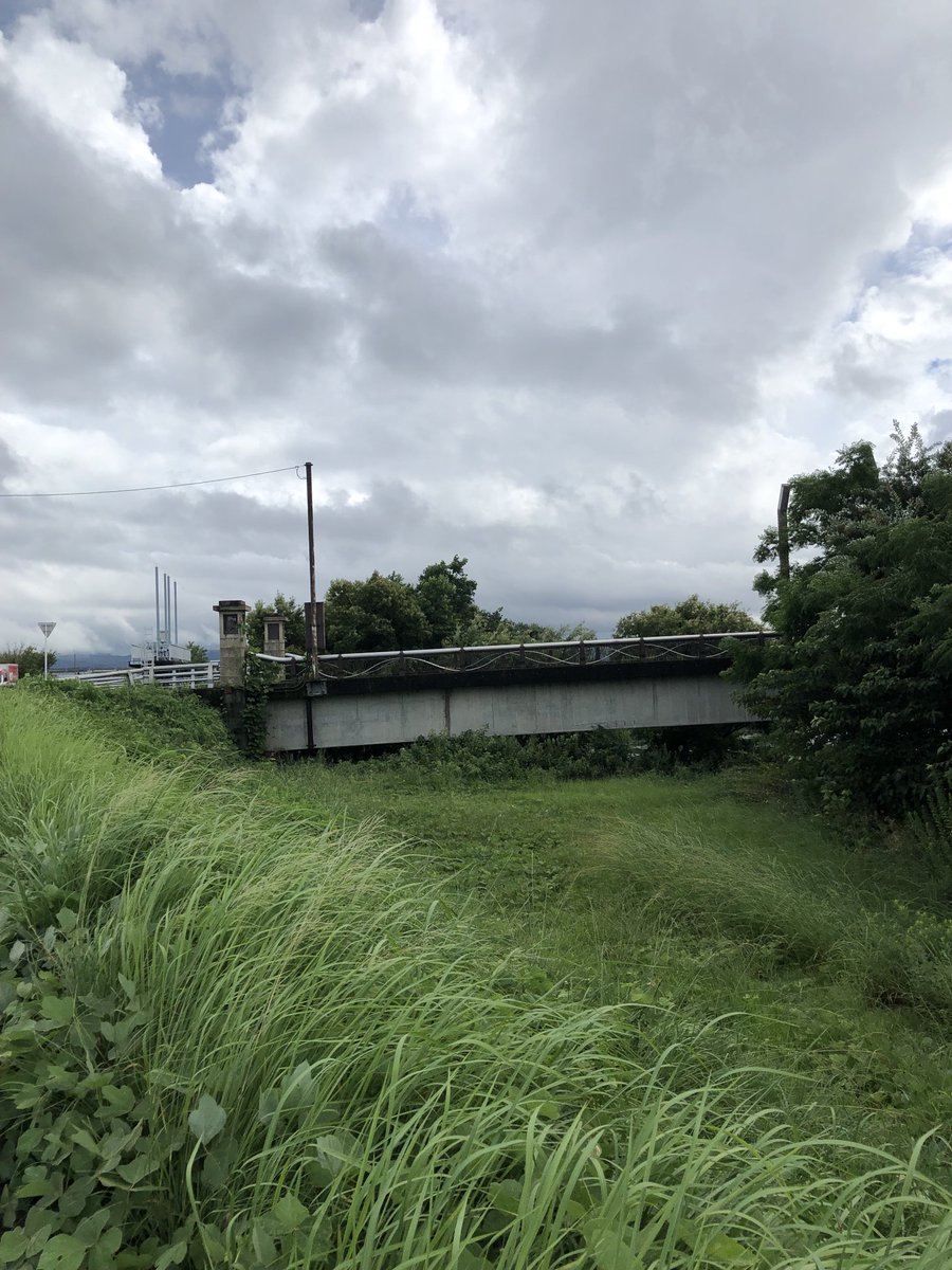 Hj9Bd7ae0z7wCsU's tweet photo. 人工島(矢橋帰帆島)入口橋の右側の木の根元にスズメバチの巣があります。
ご注意ください。
#すでに被害者あり
#自分ではないが
#南湖東岸 https://t.co/7OUxe0GTfZ