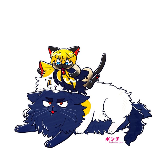 ネコトリオ 