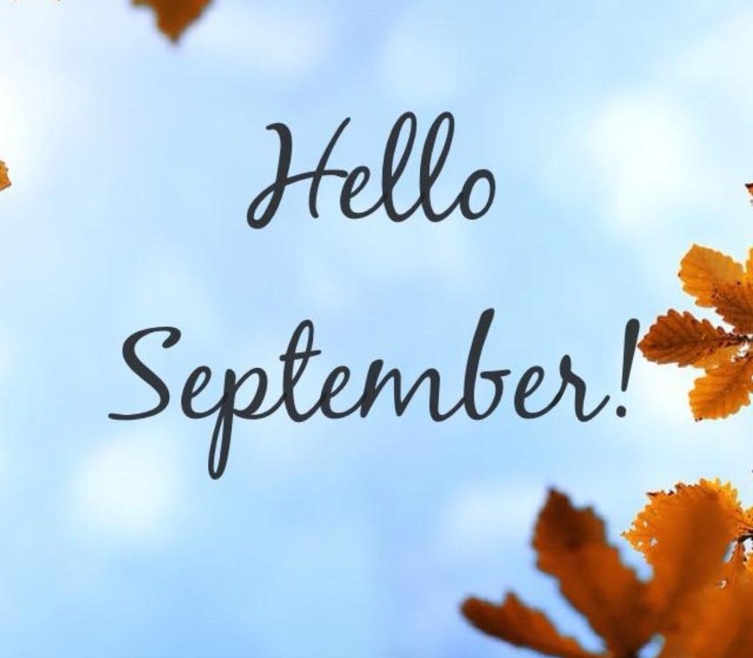 DALnftincubator's tweet photo. Who says September, says back to school but not only... 😉 
September is also the month of the launch of the collection Free mint Time Out Origin 🔥🔥🚀

#BackToSchool #September2022 #FreeMintNFT #TimeOutOrigin #DigitalArtLab https://t.co/rRO0GiZvl8