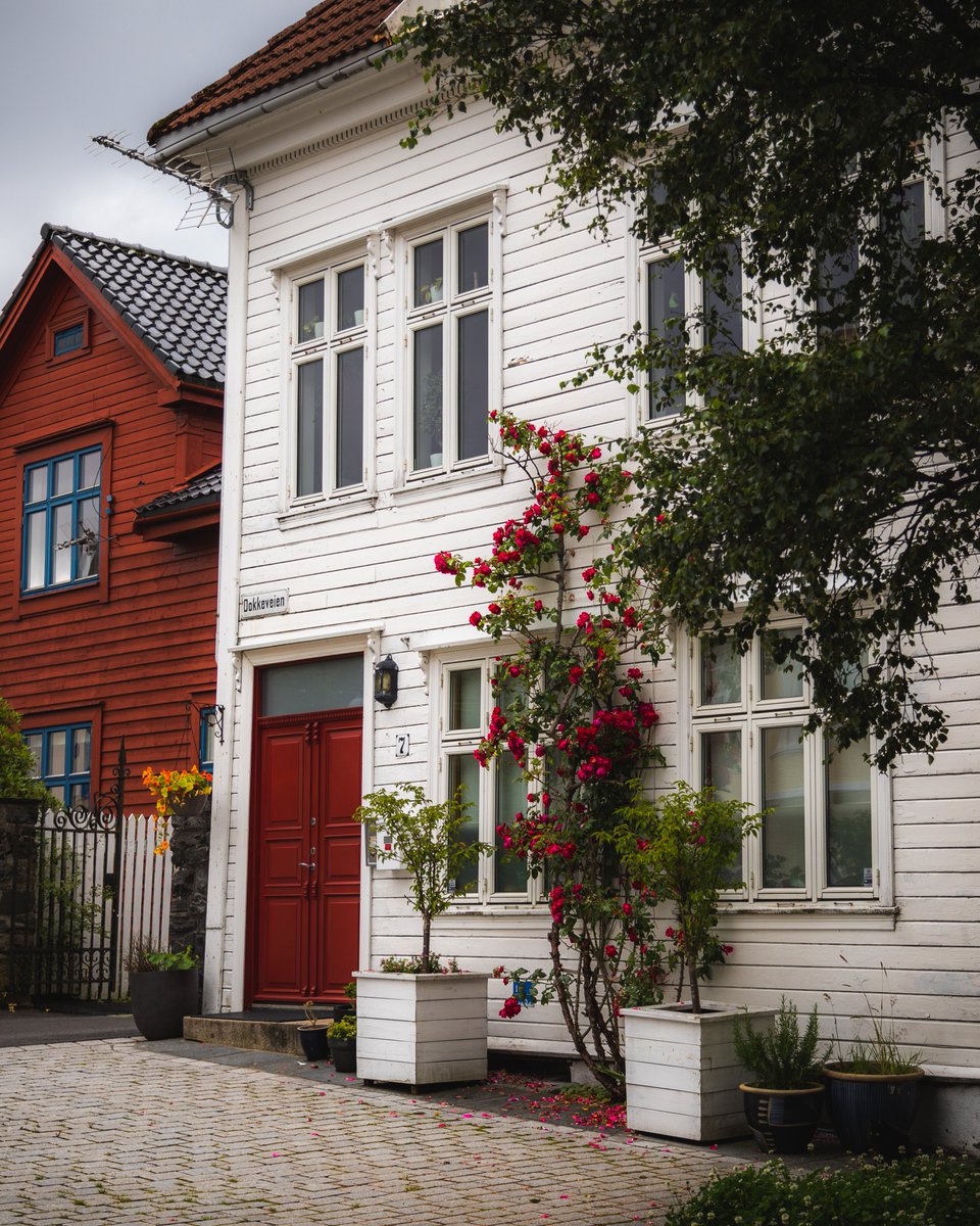 GM ❤️ 

Who else is obsessed with this red door and roses combo, or is it just me? 🌹😍