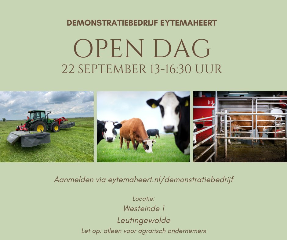 Eytemaheert tweet media
