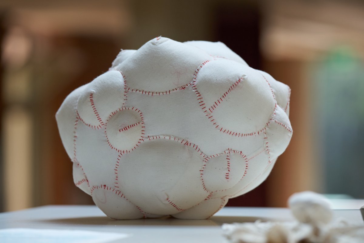Bethlem_Gallery's tweet photo. ๐ข#FutureSelves by Beth Hopkins is reopening on 7 Sept and showing until 27 Jan at @OrtusMaudsley (Denmark Hill).
See textile sculptures, altered objects and drawings in response to current research at @KingsCollegeLon on advance directives & bipolar:
https://t.co/YGQiwuy7yU https://t.co/SJiUvmbSme