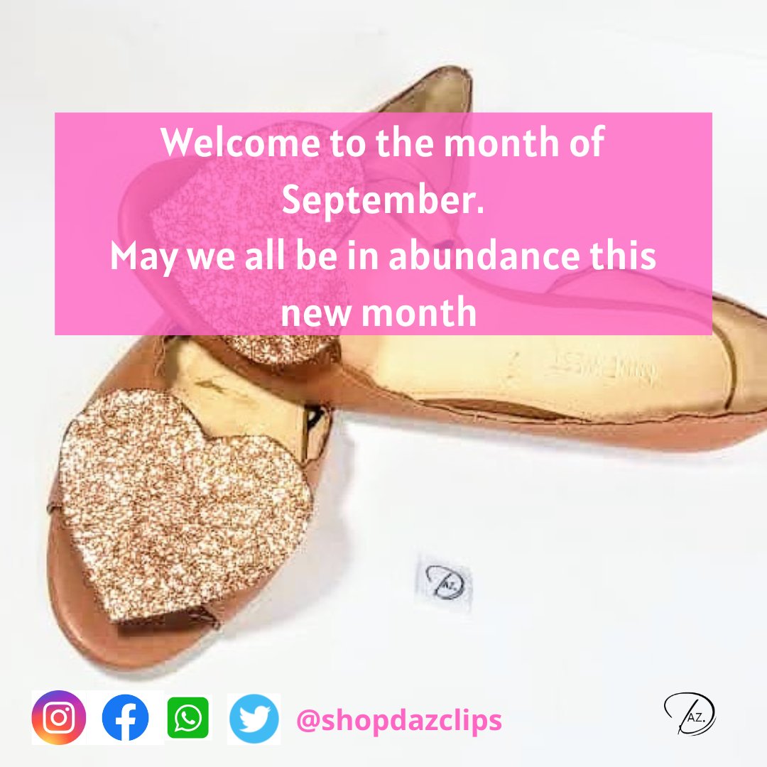 shopdazclips tweet media