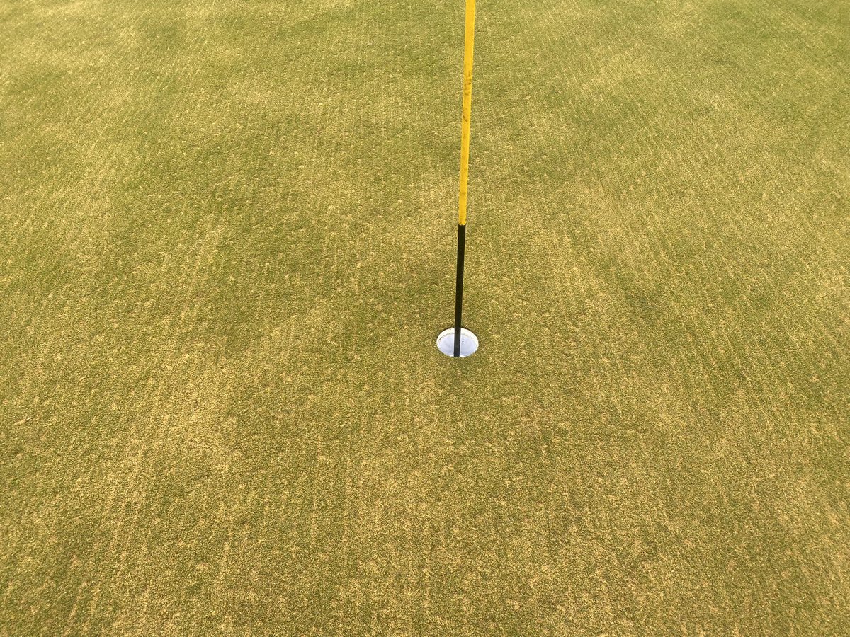 Renovations to putting green and chipping green complete. Verti cut x2, Graden -12mm, 2 ton sand, verti drained 10”, procored 4”, brushed and rolled.