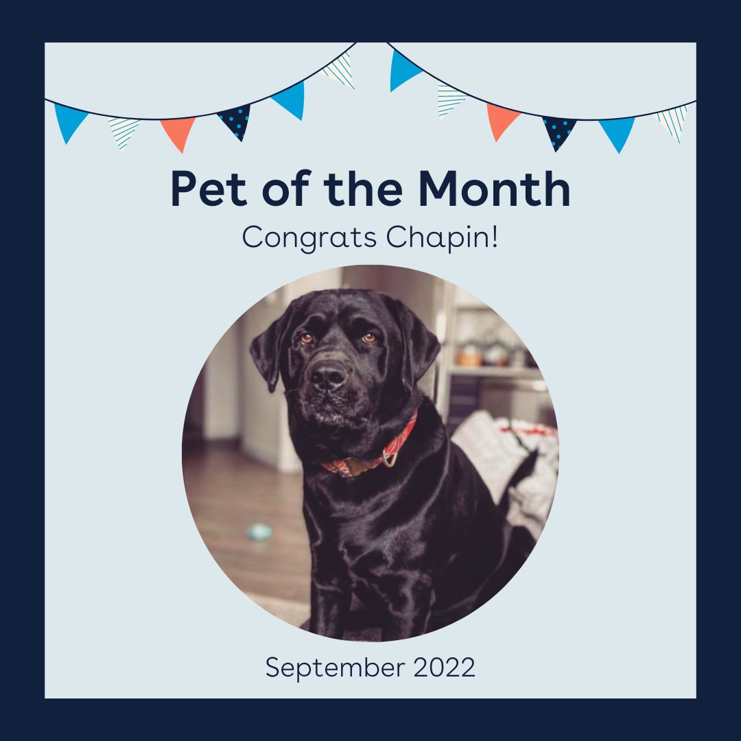 Emery Flats tweet media