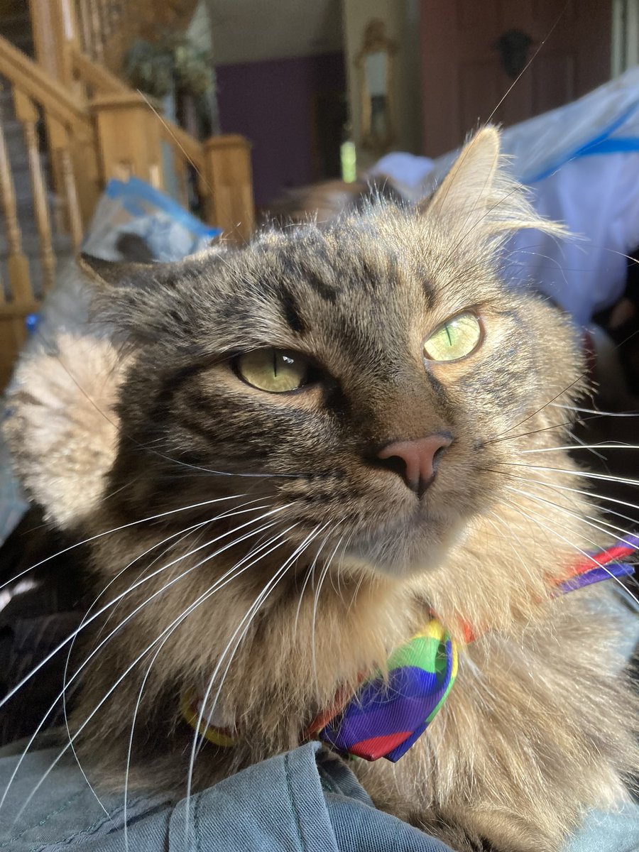 da smoochers tweet media