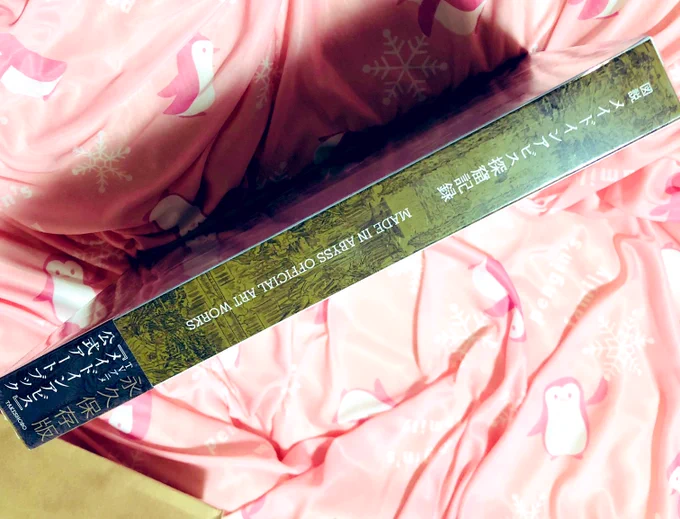 お母さんから1週間早い誕生日プレゼントもらったメイドインアビス探窟記録!デカい!分厚い!圧巻! 
