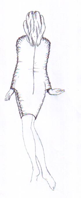 jeroen van der klis tweet media