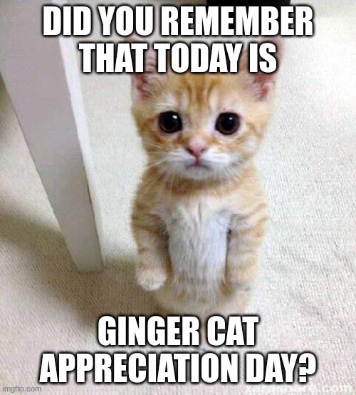 TheFlatteryCatteryCafe tweet media