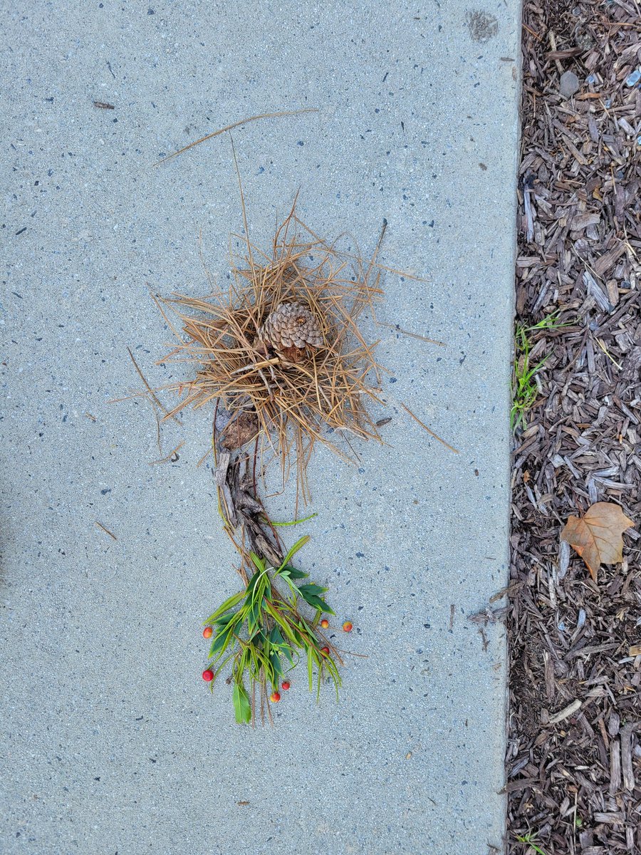 ms_delap's tweet photo. General public: What's up with this generation? Outside and on their phones?? 
Me: Oh, them?  They are learning the parts of the neuron. Building from nature and technology to label. #education
#Teachers https://t.co/KX1kvgGrbO