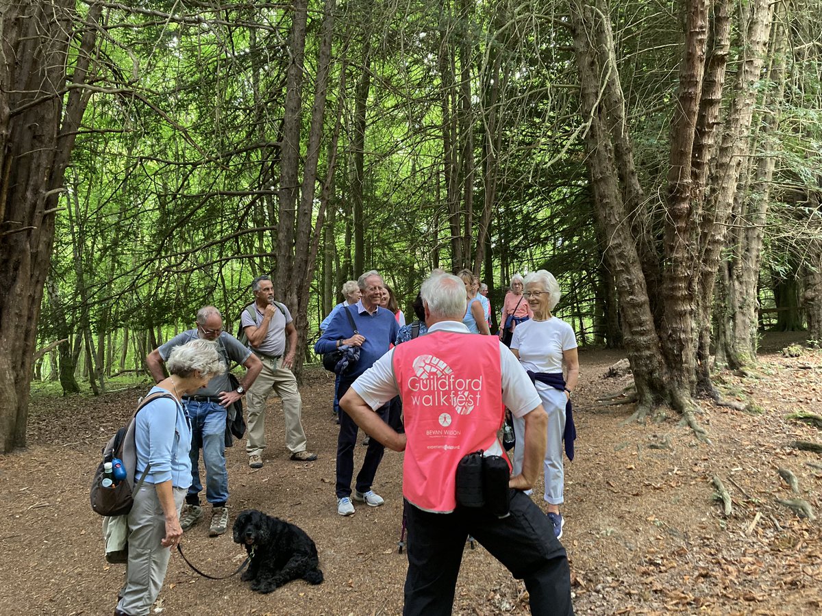 SurreyHillsSoc's tweet photo. Fantastic 1st #walkfest event today starting at the amazing @WHorsleyPlace & then on to #sheepleas woodland, great views & some hilly climbs @gfordwalkfest @ReconnectionsGW https://t.co/7hWxfRdI60