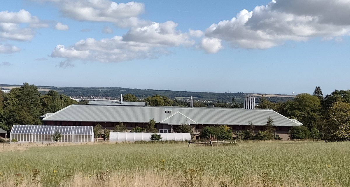 DrRIGraham's tweet photo. Craibstone Campus looking great today @SRUC View towards a brand new glasshouse and polytunnel next to Ferguson Building #newfacilities @SRUCResearch @NicolaJHolden https://t.co/8KRMtiORtM