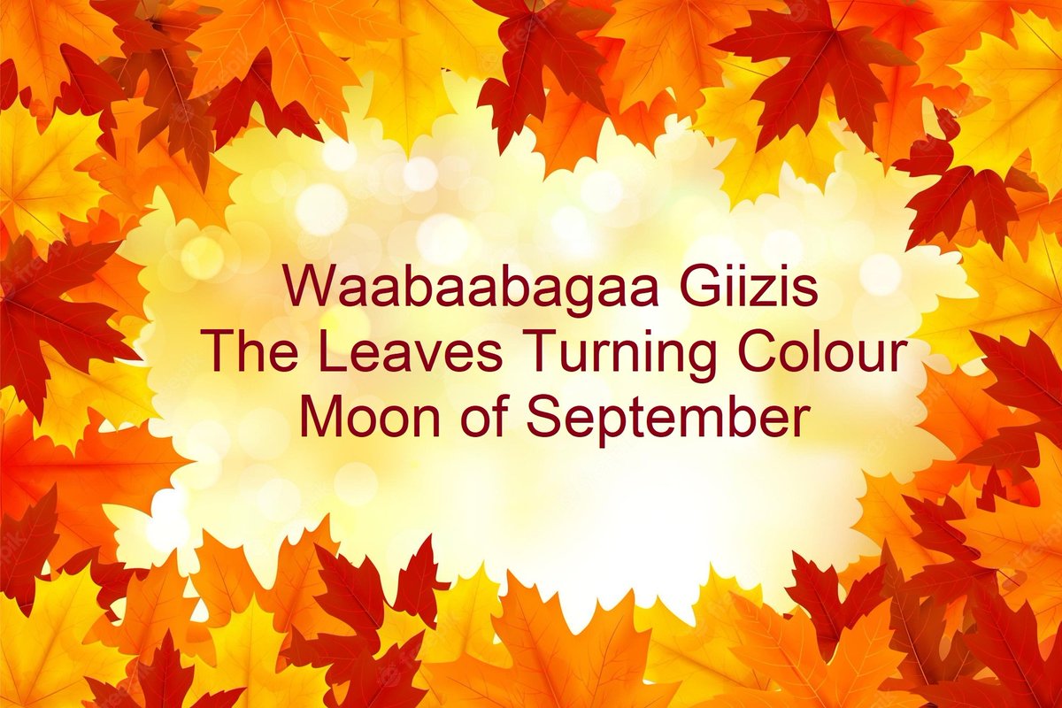 Happy 1st day of September Folks ❤ One of the Anishinaabe names for this month is Waabaabagaa Giizis, The Leaves Turning Colour Moon. A lovely &amp; descriptive way of capturing what happens to the leaves as the month goes on. Enjoy the month ahead!