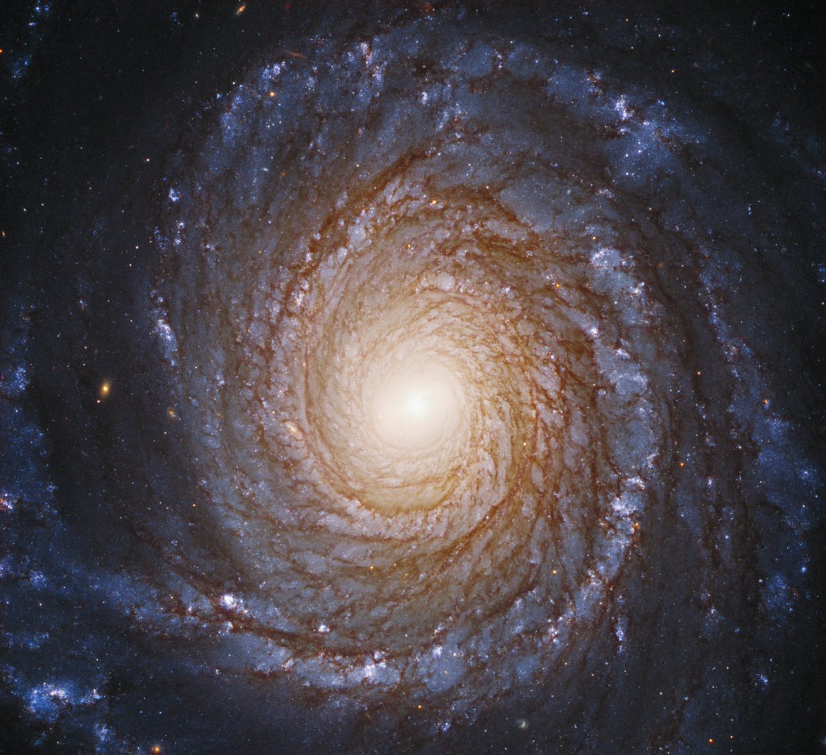 HubbleTelescope's tweet photo. Need a moment? Calm your breath and trace the arms of this spiral galaxy. They are filled with long lanes of young blue stars, clusters of pink stars, and brown dust.  

Credit: https://t.co/nhO3H589d4 https://t.co/9IE0LlNVfD
