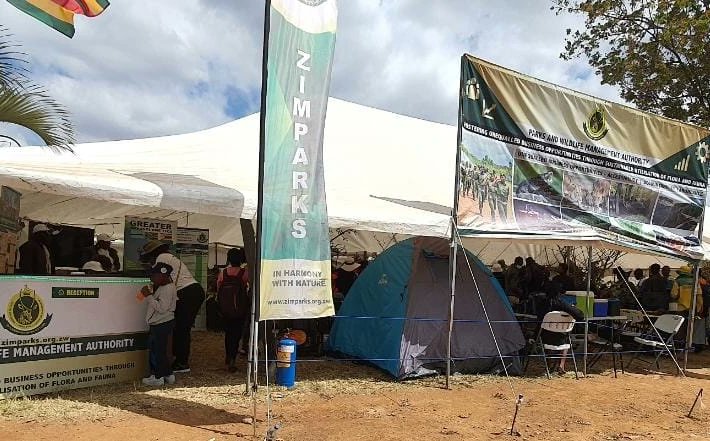 Zimbabwe Tourism Authority tweet media