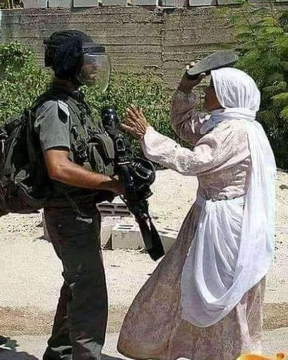 saragaza94's tweet photo. Today's Best Photo 📷🇵🇸 https://t.co/3TAVnwNCuK