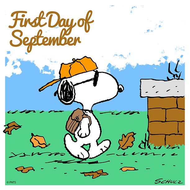 Happy #September1st, friends. I’m over the heat, frankly. Today is a spicy one in my corner of the world.
What do you LOVE about September? Me—sweaters!