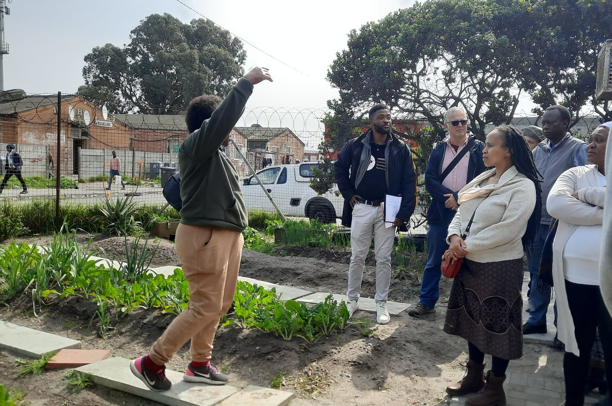 GuerreraCasas's tweet image. Another inspiring food learning journey, this time in Langa. Walking, talking, &amp;amp; connecting with people who make up the food system. Conditions are tough but there is no shortage of ideas, energy &amp;amp; incredible humans at the forefront #capetown #foodsystem