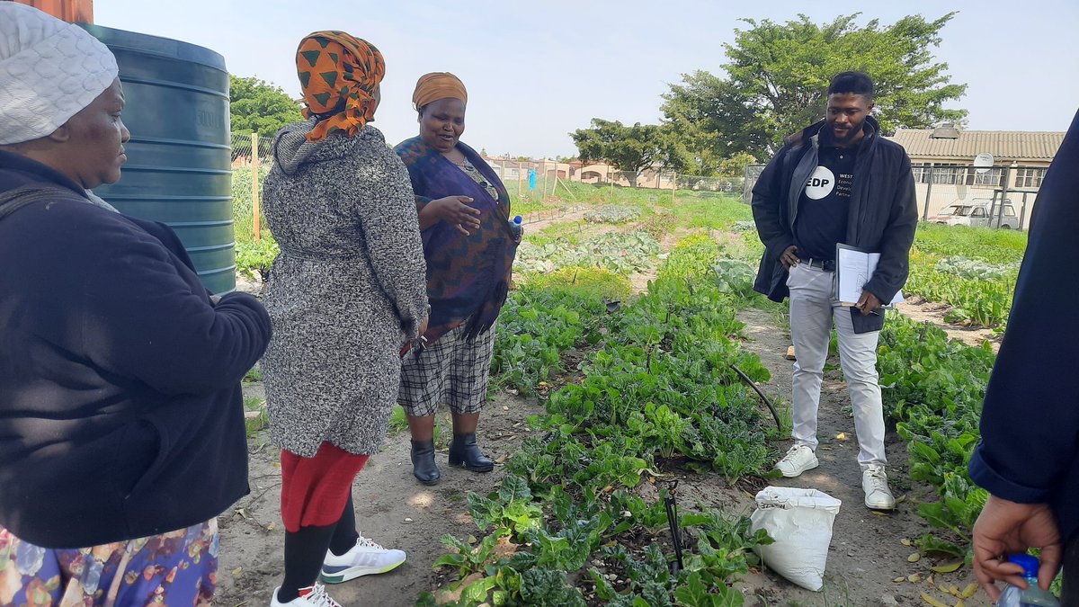 GuerreraCasas's tweet image. Another inspiring food learning journey, this time in Langa. Walking, talking, &amp;amp; connecting with people who make up the food system. Conditions are tough but there is no shortage of ideas, energy &amp;amp; incredible humans at the forefront #capetown #foodsystem
