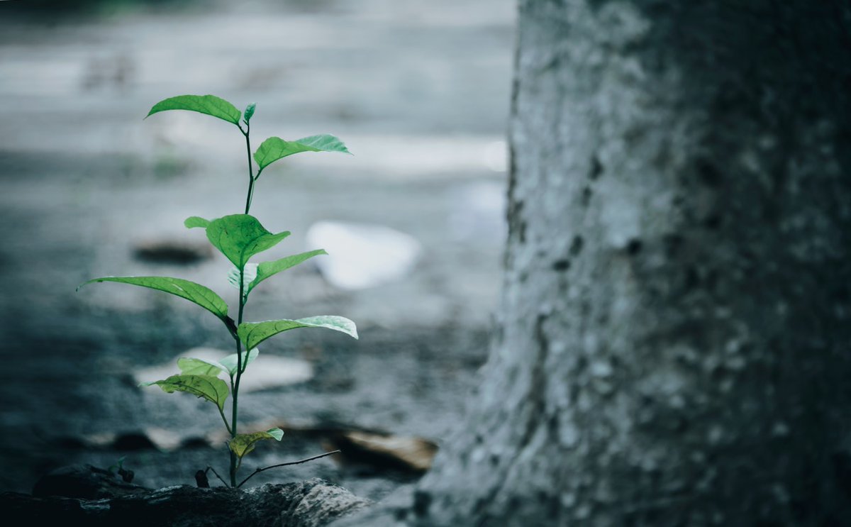 WealthTeckL's tweet photo. Next week, we will be showing business owners how to create value at various stages of their growth cycles.
The free 60-minute webinar will include the typical anatomy of each cycle and the required different areas of focus to embed value.
Register at https://t.co/DAPhqR8XKa https://t.co/prrAZ61uNk