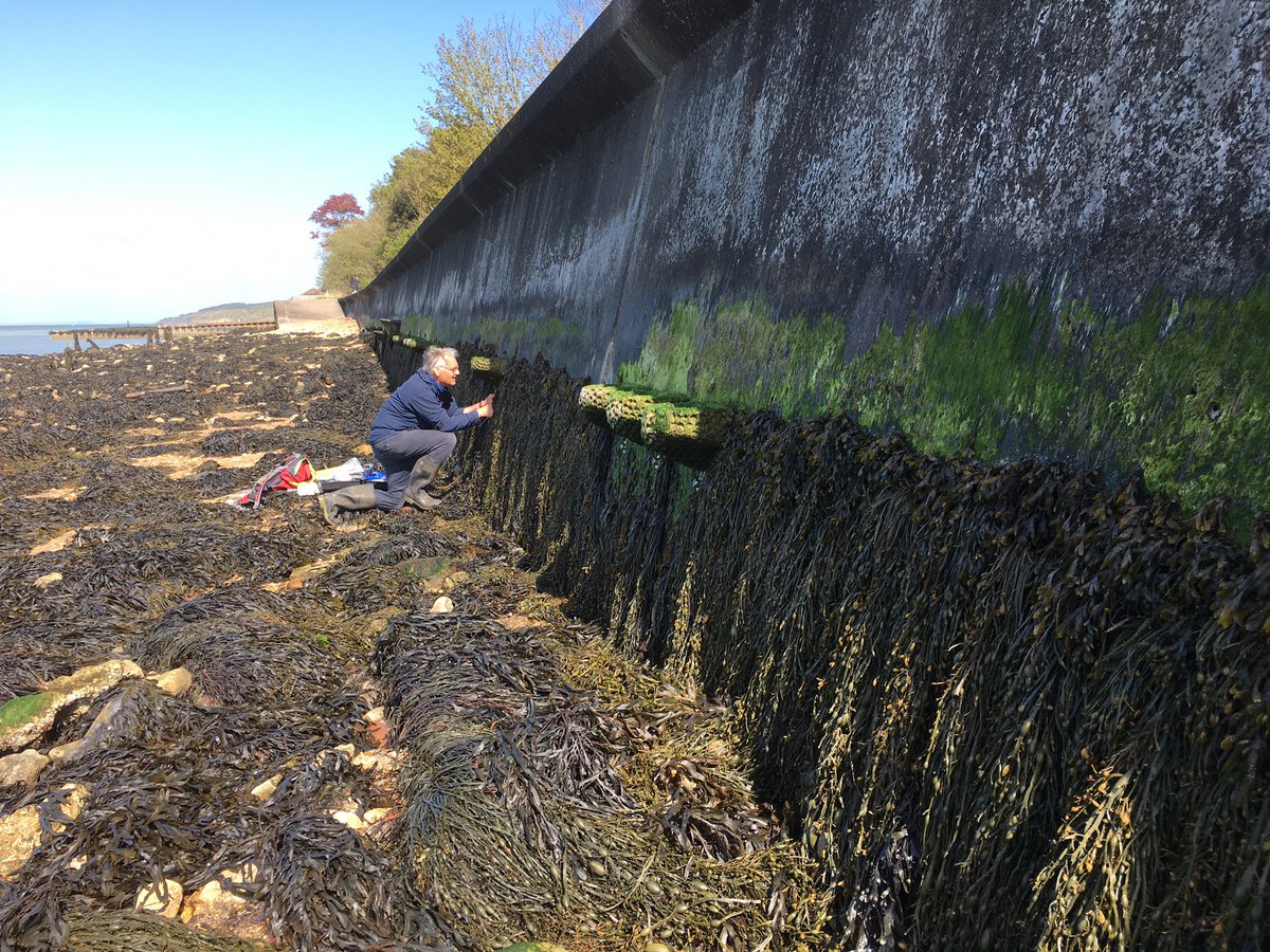 ArtecologyDept's tweet photo. Hi folks! We’re creating a visual map showing our #Vertipool installation sites across the UK &amp; Europe. We’d like your help please! If you’ve installed our Vertipools for academic study work or for  a development scheme would you mind saying when and where in the comments below? https://t.co/pKgF4w6acq
