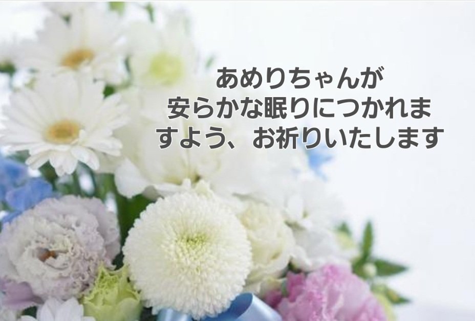 ChoroYou's tweet photo. @323Kapalua https://t.co/4kdcOjRuXG