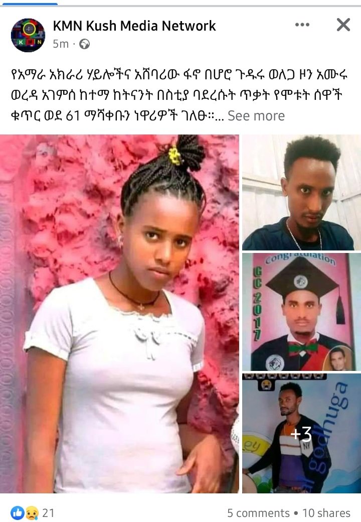 #AmuruMassacre: 61 Oromians were brutally executed by #TerroristAmaraFano in Agamsaa town. 
<a href="/hrw/">Human Rights Watch</a> <a href="/amnesty/">Amnesty International</a> <a href="/AmnestyEARO/">Amnesty Eastern Africa</a> <a href="/UNGeneva/">United Nations Geneva</a> <a href="/UN_HRC/">UN Human Rights Council</a> <a href="/AP_Africa/">AP Africa</a> <a href="/UNHumanRights/">UN Human Rights</a> <a href="/BBCAfrica/">BBC News Africa</a> <a href="/AP/">The Associated Press</a> <a href="/AJEnglish/">Al Jazeera English</a> <a href="/BBCWorld/">BBC News (World)</a> @Abc <a href="/AFP/">AFP News Agency</a> 
#AidForOromia #HungerInOromia #OromosStandWithOLA