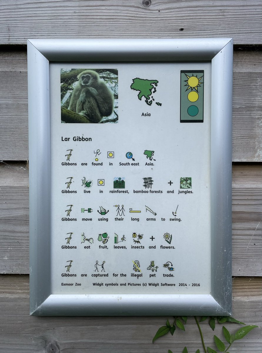 This *Gibbons was very excited to see #easyread at <a href="/exmoorzoo/">Exmoor Zoo</a> on the weekend #*whenyourlastnameisGibbonsliketheape #accessibleinformation #inclusive