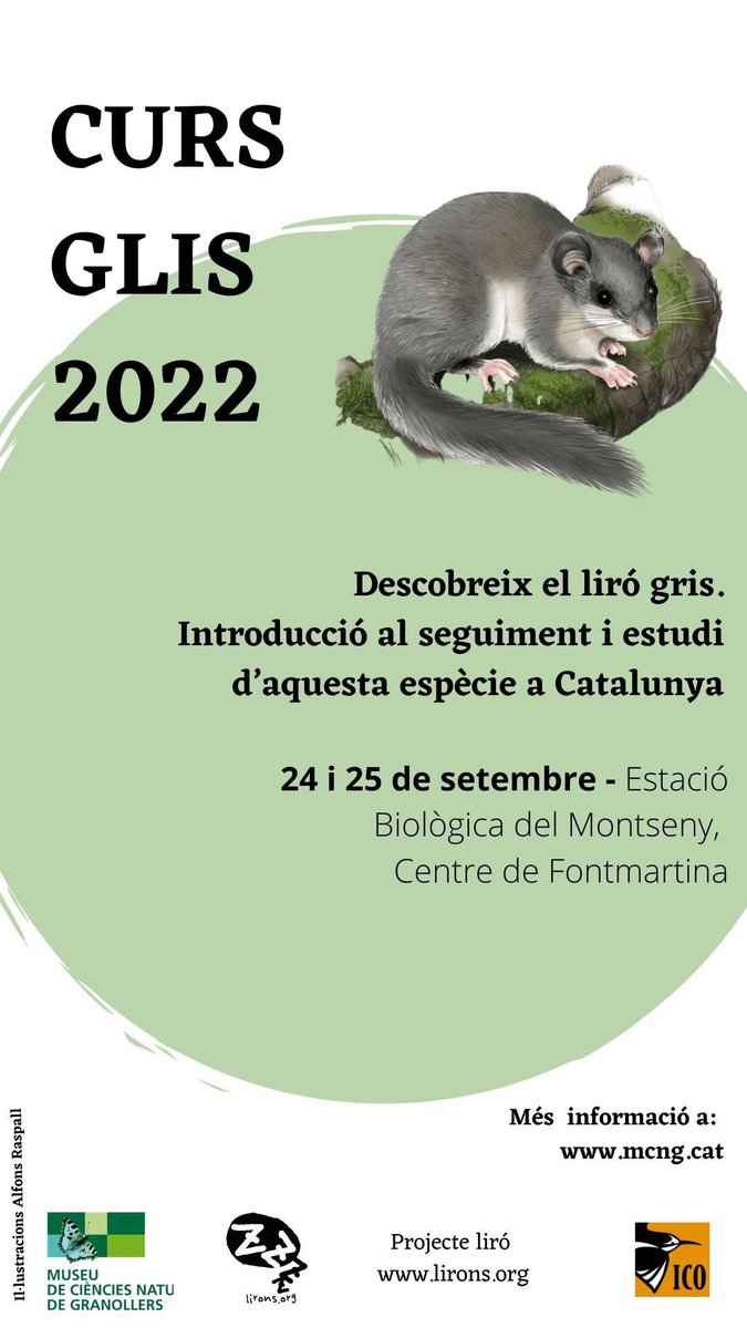 ProjecteLiro's tweet image. 📢Vols ser voluntari del #ProjecteLiro i saber més sobre els lirons i el seu seguiment? Si és així, no et perdis la nova edició del curs que es farà aquest setembre al Parc Natural del Montseny🐭😍 

Per més informació i inscripcions👉mcng.cat/agenda/curs-gl…
