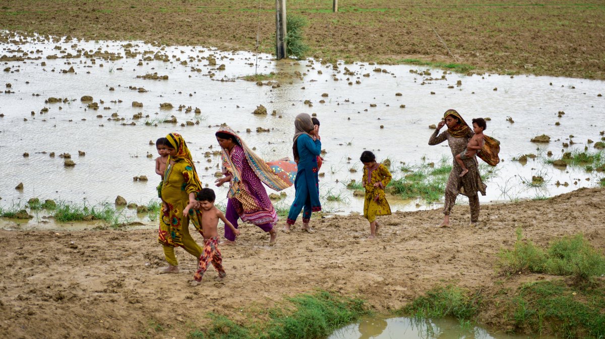 DECCymru's tweet photo. In Pakistan, an estimated 33 million people have been affected by devastating floods.
People urgently need help. If you can, please donate now.

https://t.co/2HAz2c9x2J https://t.co/T18YVsV5HZ