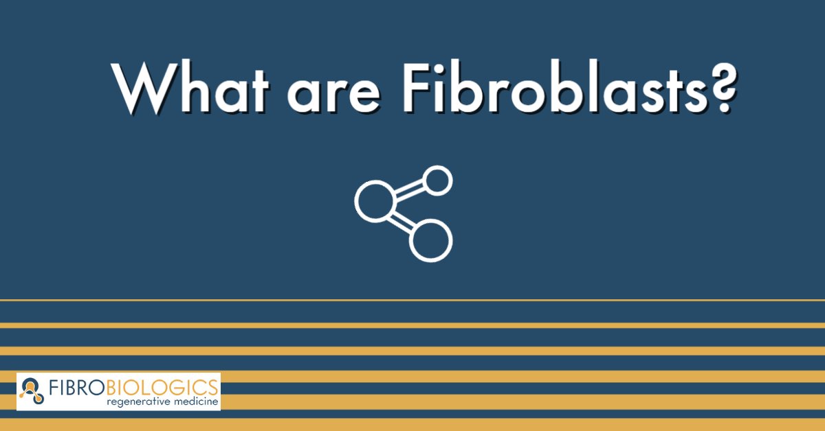 FibroBiologics tweet media